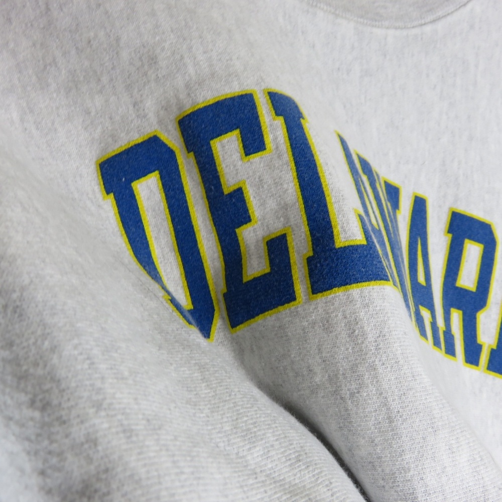 Champion Reverse Weave Delaware Crewneck - Picture 3 of 6